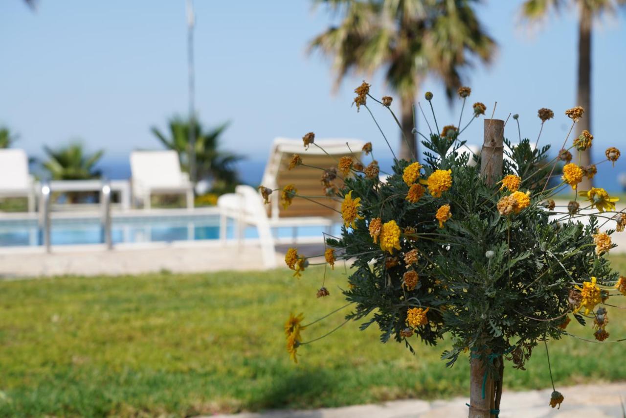 Aneria Suites Episkopi  Exterior photo